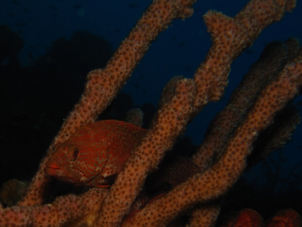 below