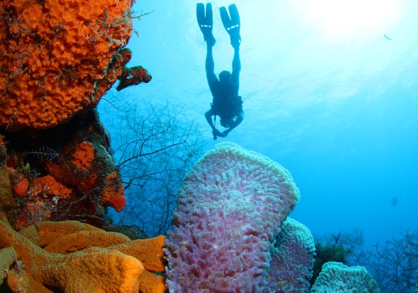 Cozumel